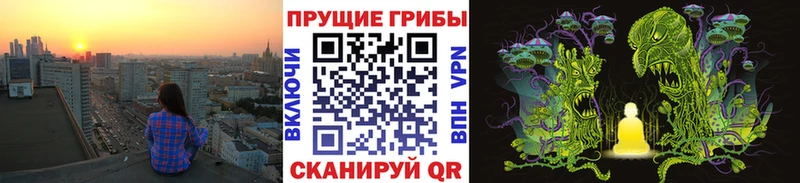 Псилоцибиновые грибы мицелий  продажа наркотиков  blacksprut ссылки  Можга 