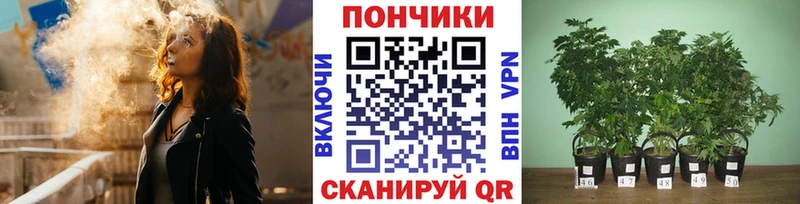 мега ссылки  Можга  Шишки марихуана сатива 